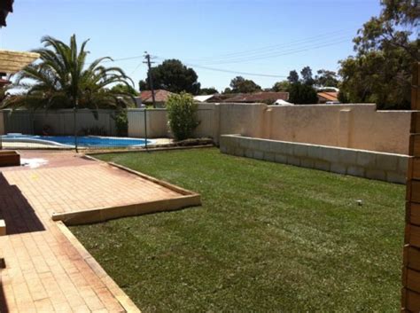 Sir walter is soft to touch and low allergy, making it ideal for families with children and/or pets. Where to Buy Sir Walter Buffalo Turf in Perth - Brighton ...