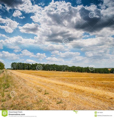 Wonderful Panorama Of Countryside With Cloudy Sky And Harvested Stock