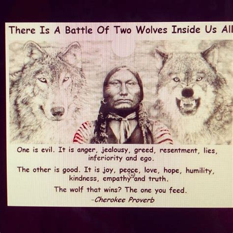 Two Wolves Cherokee Proverb My Culture My People Pinterest