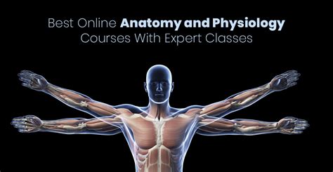 Human Anatomy And Physiology Online Course CollegeLearners Com