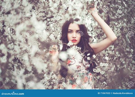 Beautiful Young Lady In The Garden Of Cherry Blossoms Stock Photo