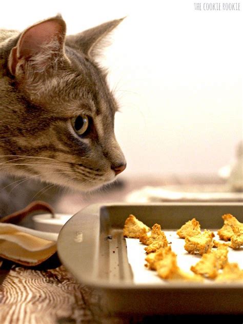 Homemade Salmon And Catnip Cat Treat Croutons My Cat Loves These Easy
