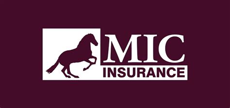 Which makes my life a whole lot easier. Qui Sommes Nous | MIC Insurance - Millennium