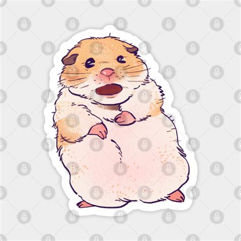 Scared Screaming Shook Hamster Meme Hamster Magnet Teepublic