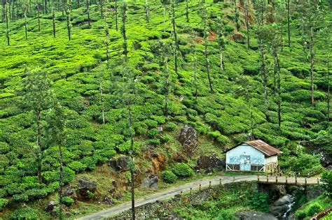A Window To Kerala Culture An Enchanting Land
