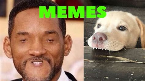 TRY NOT TO LAUGH/Meme Edition/IMPOSSIBLE - YouTube Dank memes try not to laugh on these submit your memes.