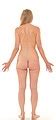 Category Nude Standing Women Seen From Behind Anatomy Wikimedia Commons