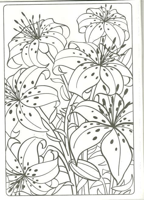 Lily coloring pages is a collection of images of the delightful flowers that grow in our gardens. Images (With images) | Tiger lily, Coloring pages, Tiger ...