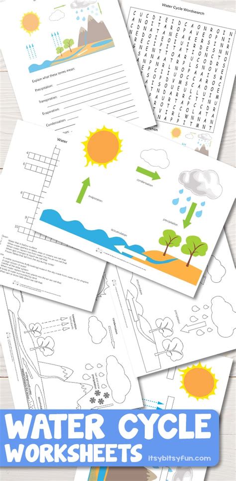 It moves as water vapor, liquid water and ice. Free Printable Water Cycle Worksheets + Diagrams ...