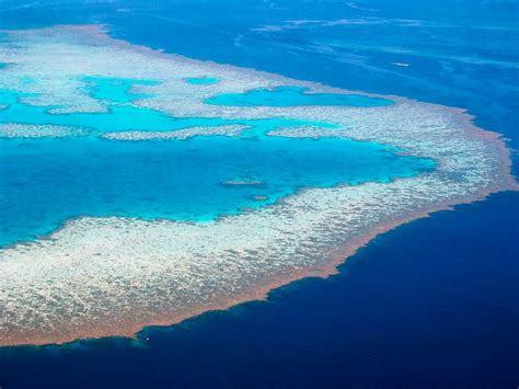 Great Barrier Reef Worlds Largest Coral Reef