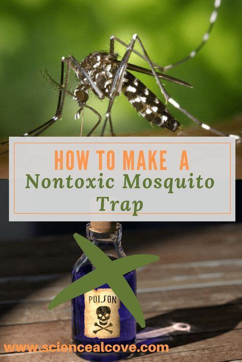 How To Make A Non Toxic Mosquito Trap Mosquito Trap Science Projects
