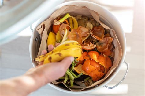 4 Ways Upcycle Food Waste Is Making A Difference 2023