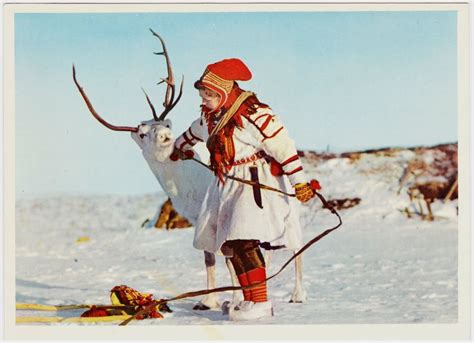 Category Sami Sami Postcard Reindeer Herders