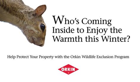 Categories:pest control services, pest control services commercial & industrial. About Orkin: Why Orkin Over Other Termite Companies?