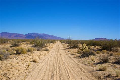 Sandy Road In The Mojave Desert Stock Image Image Of Vast Forever
