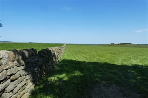 Dry Stone Wall Beside Newall Carr Lane DS Pugh Geograph Britain