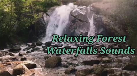 Relaxing Forest Waterfalls Sounds Calming Sounds Brings You To Sleep
