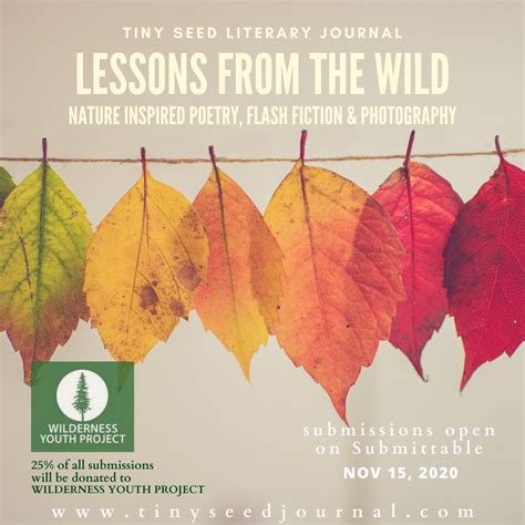 Lessons From The Wild Graphic 1 Tiny Seed Literary Journal