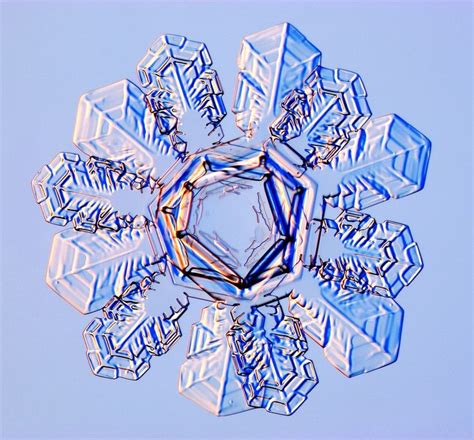 Watch Mesmerizing Time Lapse Shows Snowflake Come To Life Snowflakes