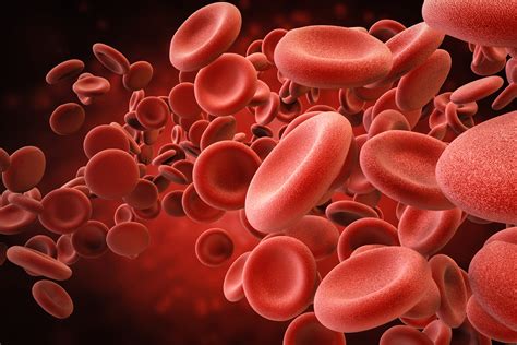 Relevance Of Red Blood Cells And Why Do We Care About Them