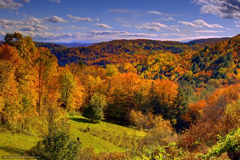 43 Vermont Autumn Background Wallpaper