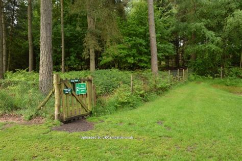 Cannock Chase Camping And Caravanning Club Site Rugeley Campsites