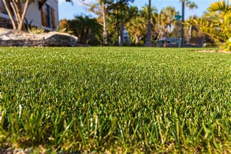 Artificial Grass Vs Organic Sod Which Is The Best Lawn