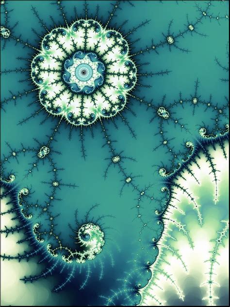 Infinity Imagined Fractal Art Fractals Patterns In Nature
