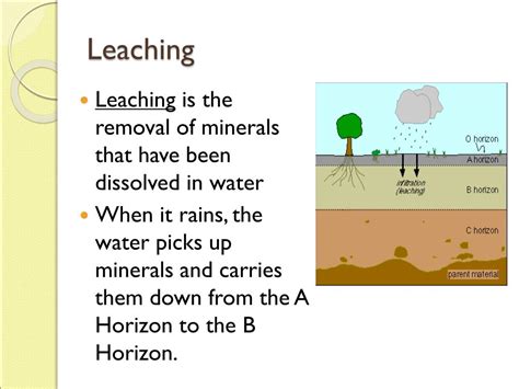 Ppt The Nature Of Soil Powerpoint Presentation Free Download Id
