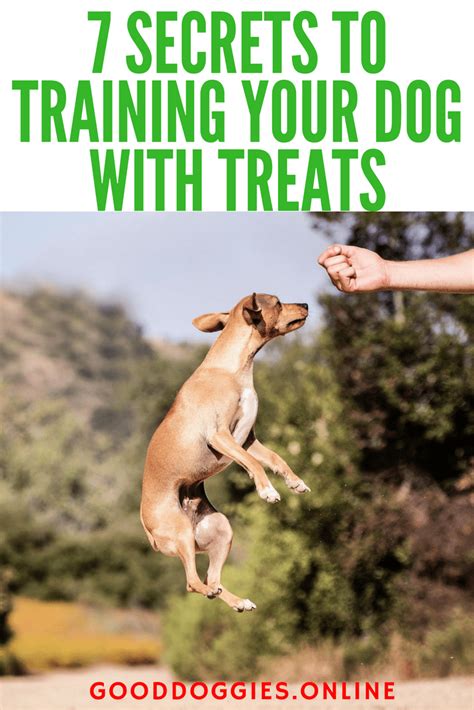 7 Secrets To Training Your Dog With Treats Basic Dog Training Puppy