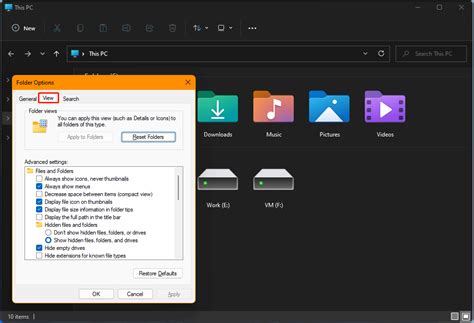 How To Open Folder Options In Windows 11 Minitool