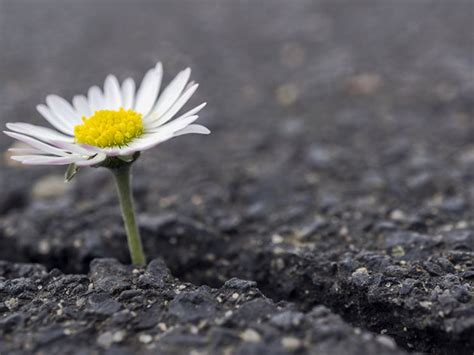 Innere stärke bietet coaching und training für mehr selbstsicherheit und weniger stress beruflich und privat. Mehr Selbstvertrauen durch innere Stärke | Liebenswert Magazin