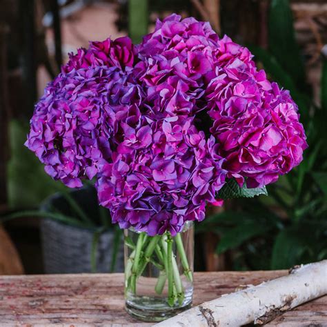 Maybe you would like to learn more about one of these? Hydrangea Lovers - Purple in Washington, DC | Le Printemps