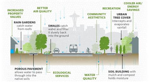 Investing In Green Infrastructure A Win Win For Economic Recovery Delphi