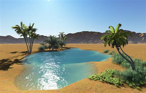 Desert Oasis Stock Photos Pictures And Royalty Free Images Istock