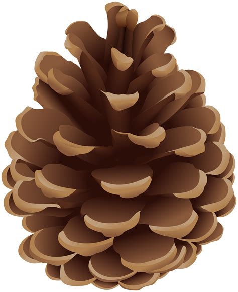 Free Pinecone Cliparts, Download Free Pinecone Cliparts ...