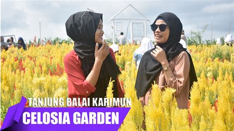 Fa akan ditempatkan di cabang bank mandiri area kepulauan riau. celosia garden | wisata tanjung balai karimun - YouTube