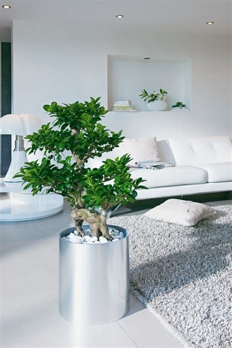 99 Great Ideas To Display Houseplants Indoor Plants Decoration Page