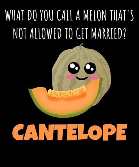 A Melon Thats Not Allowed To Get Married Funny Melon Pun Digital Art By