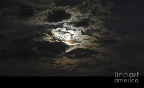 Full Moon Lighting Up The Sky Photograph By Reva Steenbergen Fine Art