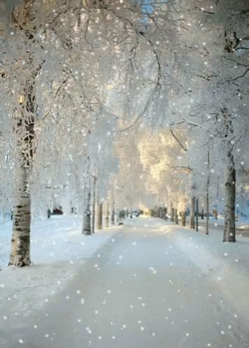 Snowing Winter Snowing Winter Snow Discover Share GIFs