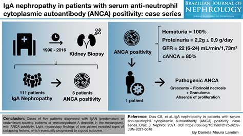 Iga Nephropathy In Patients With Serum Anti Neutrophil Cytoplasmic