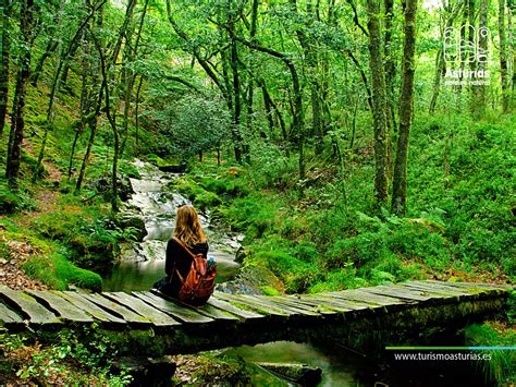 Encuentra los mejores alquileres vacacionales en asturias con tripadvisor! Vacaciones en el paraíso natural de Asturias