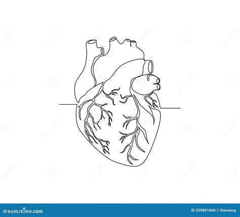 Continuous One Line Drawing Of Human Heart Heart Line Art Drawing
