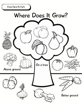 Apples grow on a tree (how fruits and vegetables grow). Unit of Inquiry - Food Study - From Farm To Fork - Where ...