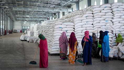 Nahrungsmittelsicherheit - Welthungerhilfe: Die Bekämpfung des Hungers