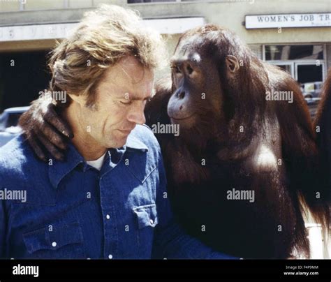 Clint Eastwood Clyde Every Which Way But Loose 1978 Directed By