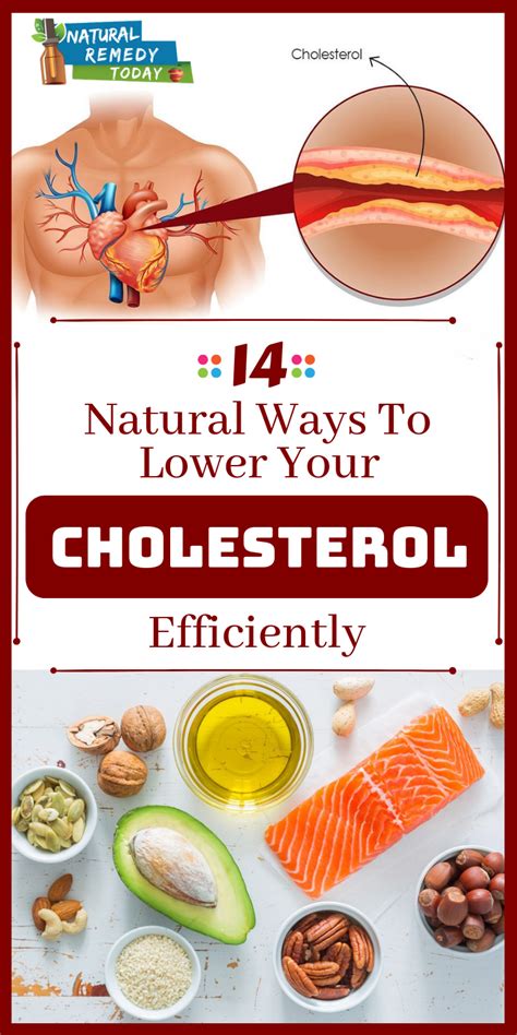 Cholesterol Lower Your Cholesterol How To Lower Your Cholesterol