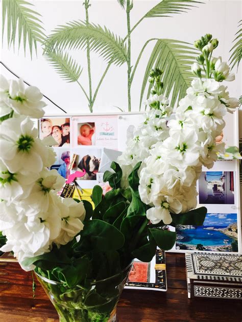 Yellow can mean friendship, happiness, or new beginnings. Stock, beautiful white flowers meaning 'bonds of affection ...