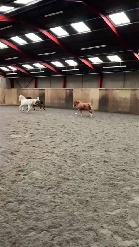 Bourne Vale Riding Stables Home Facebook